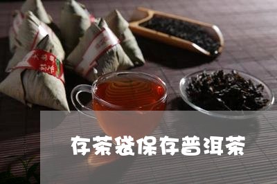 存茶袋保存普洱茶/2023041060686