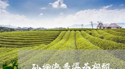 孙俪泡普洱茶视频/2023031646604