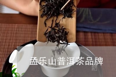 孟乐山普洱茶品牌/2023041100705