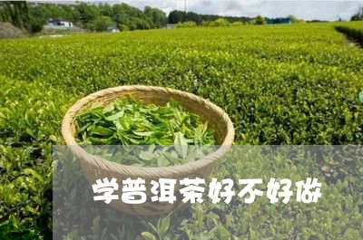 学普洱茶好不好做/2023041393716