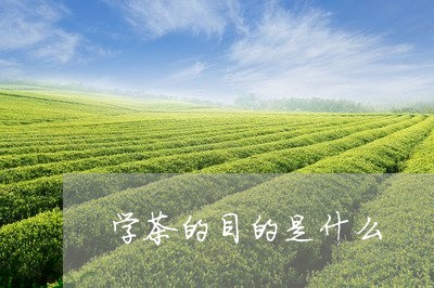 学茶的目的是什么/2023032453694