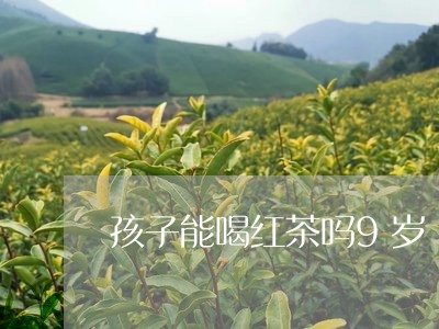 孩子能喝红茶吗9岁/2023031961835