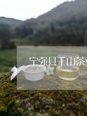 宁强县千山茶业价格/2023032116158