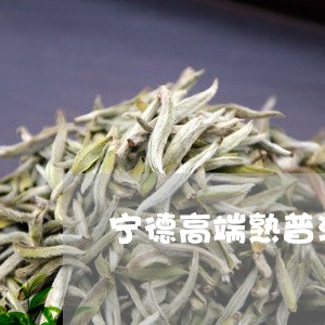 宁德高端熟普洱茶/2023031759692