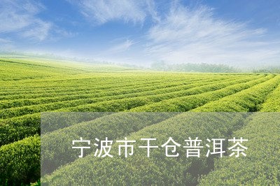 宁波市干仓普洱茶/2023033103050