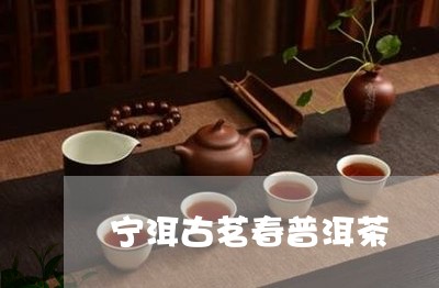 宁洱古茗春普洱茶/2023033039592