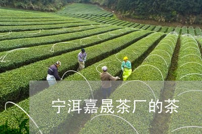 宁洱嘉晟茶厂的茶/2023032552603