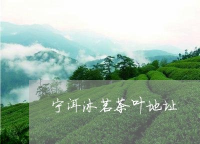 宁洱沐茗茶叶地址/2023032536169