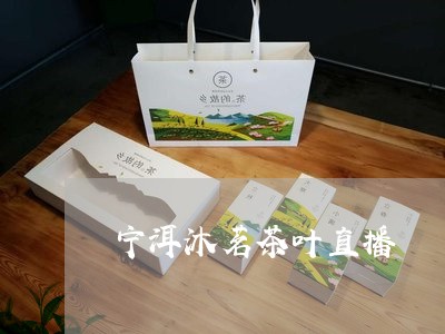 宁洱沐茗茶叶直播/2023032693169