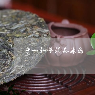 守一轩普洱茶冰岛/2023041351826