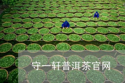 守一轩普洱茶官网/2023041358158