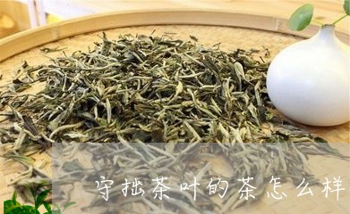 守拙茶叶的茶怎么样/2023032240504