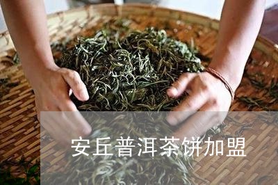 安丘普洱茶饼加盟/2023032963936