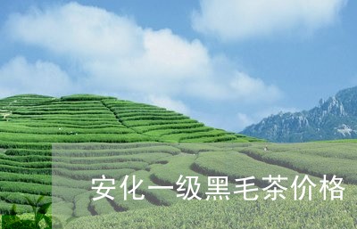 安化一级黑毛茶价格/2023041652504