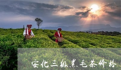 安化三级黑毛茶价格/2023041671045