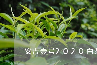 安吉壹号2020白茶礼盒/2023033006269