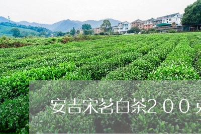 安吉宋茗白茶200克价格/2023033157471