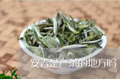 安吉是产茶的地方吗/2023041794149