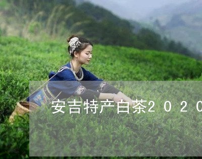 安吉特产白茶2020新茶/2023033066049