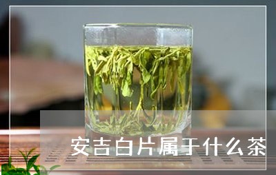 安吉白片属于什么茶/2023031961694