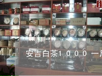 安吉白茶1000一斤档次/2023033137373