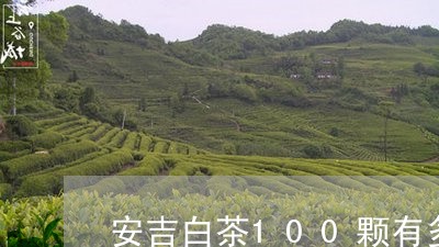 安吉白茶100颗有多少斤/2023033045941