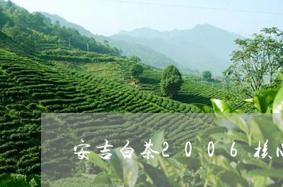 安吉白茶2006核心产区/2023033124248