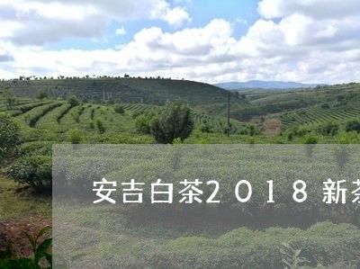 安吉白茶2018新茶礼盒/2023033044069