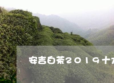 安吉白茶2019十大排行/2023033088380