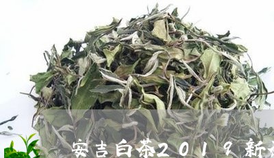 安吉白茶2019新茶御品/2023033016258