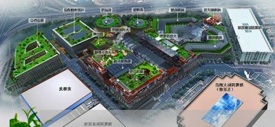 安吉白茶2020采摘视频/2023033016152