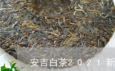 安吉白茶2021新茶散装/2023033084737