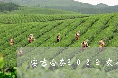 安吉白茶2022交易时间/2023033008381