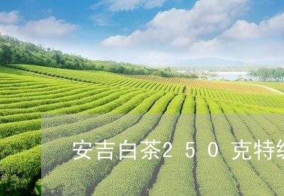 安吉白茶250克特级价格/2023033097150