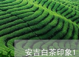 安吉白茶印象125克价格/2023033174827