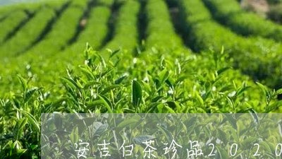 安吉白茶珍品2020新茶/2023033048261