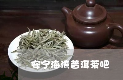 安宁海湾普洱茶吧/2023031692825