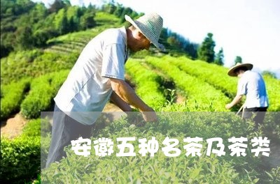 安徽五种名茶及茶类/2023041635959