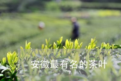 安徽最有名的茶叶/2023032618404