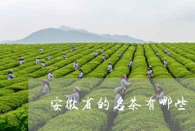 安徽省的名茶有哪些/2023041649572