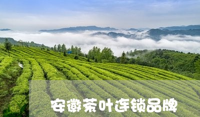 安徽茶叶连锁品牌/2023032518263