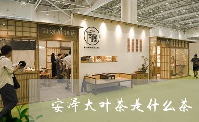 安泽大叶茶是什么茶/2023031954836