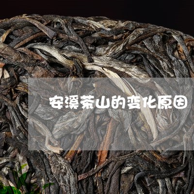 安溪茶山的变化原因/2023032038158