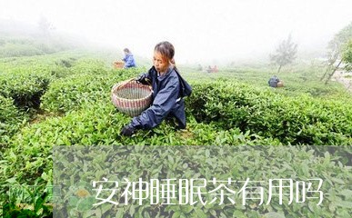 安神睡眠茶有用吗/2023032271835