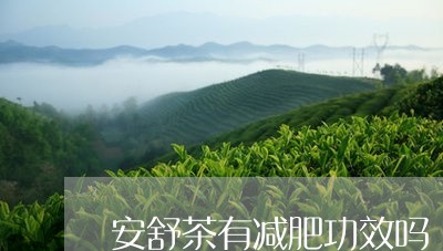 安舒茶有减肥功效吗/2023041541605