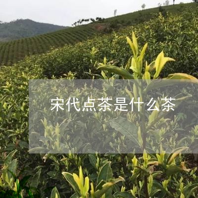 宋代点茶是什么茶/2023032492715