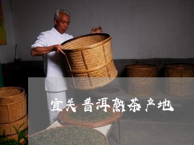 宜关普洱熟茶产地/2023041354814