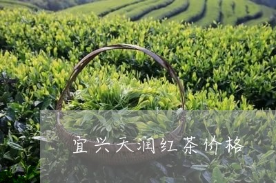 宜兴天润红茶价格/2023032417372