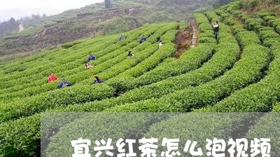 宜兴红茶怎么泡视频/2023041495049