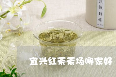 宜兴红茶茶场哪家好/2023031874736